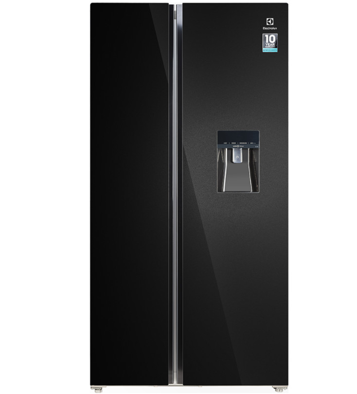 Tủ lạnh Electrolux Inverter 619 lít ESE6645A-B